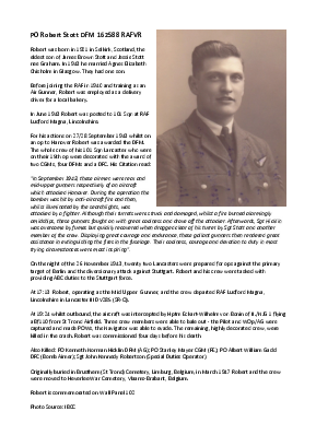 A preview of a PDF biography for Stott, Robert